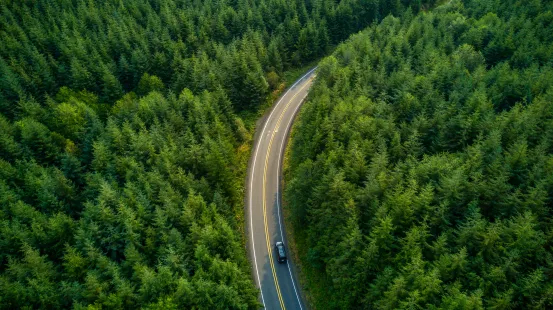 Sustain Forest road