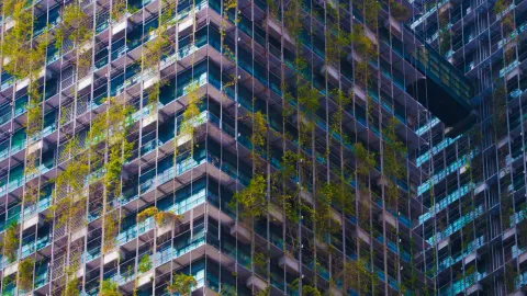 Waves of Innovation: Building a Resilient FORVIA